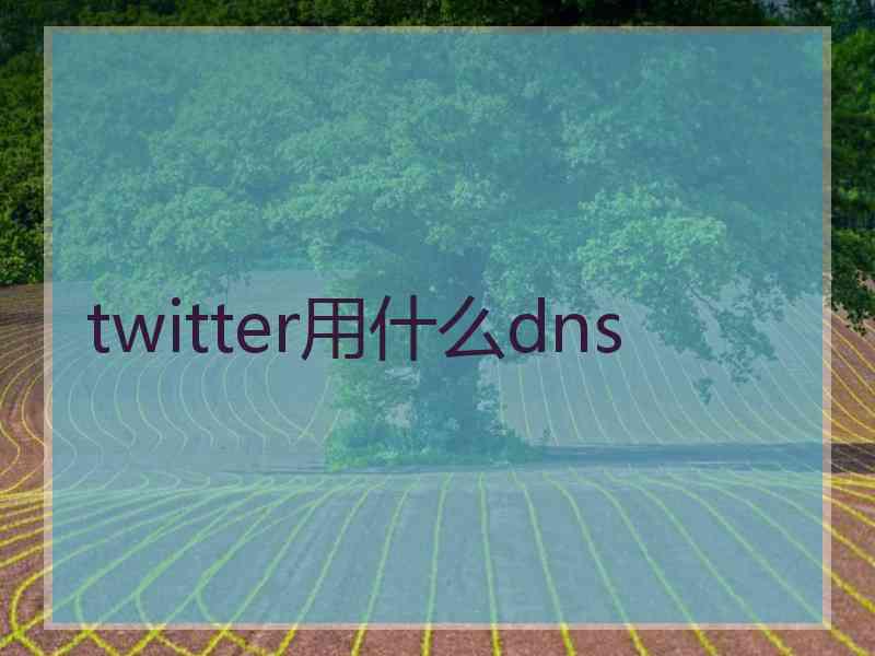 twitter用什么dns