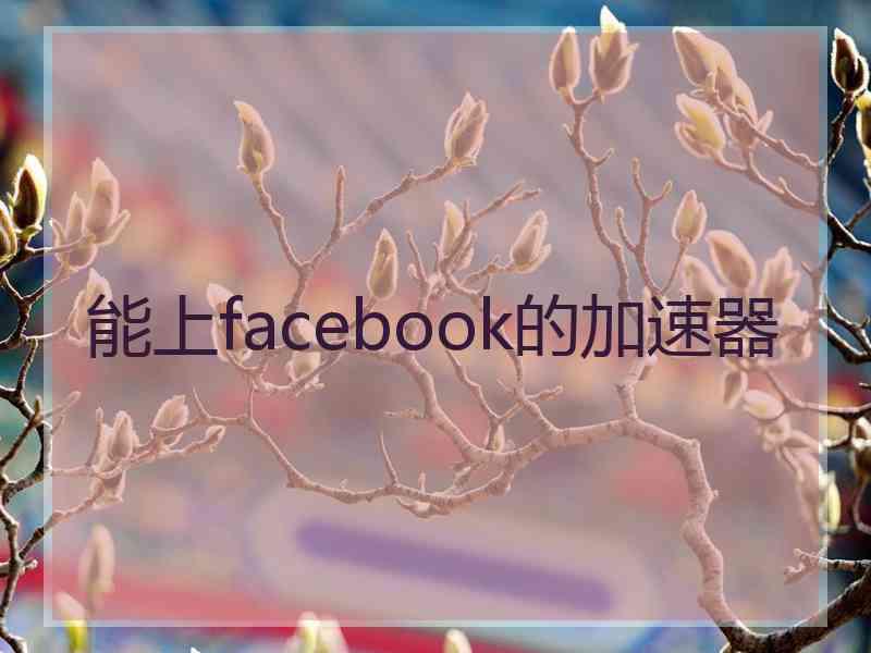 能上facebook的加速器