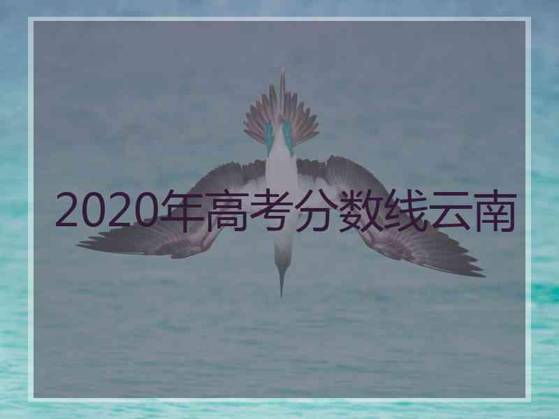 2020年高考分数线云南