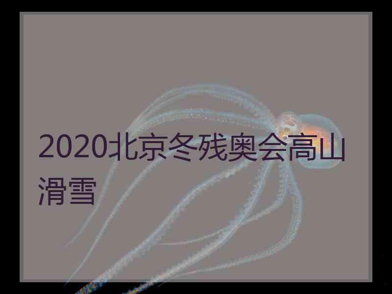 2020北京冬残奥会高山滑雪