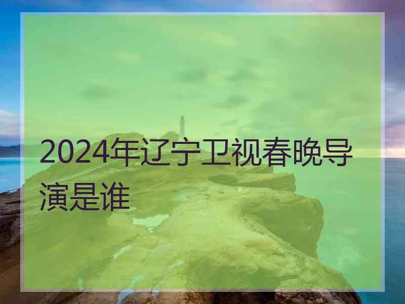 2024年辽宁卫视春晚导演是谁