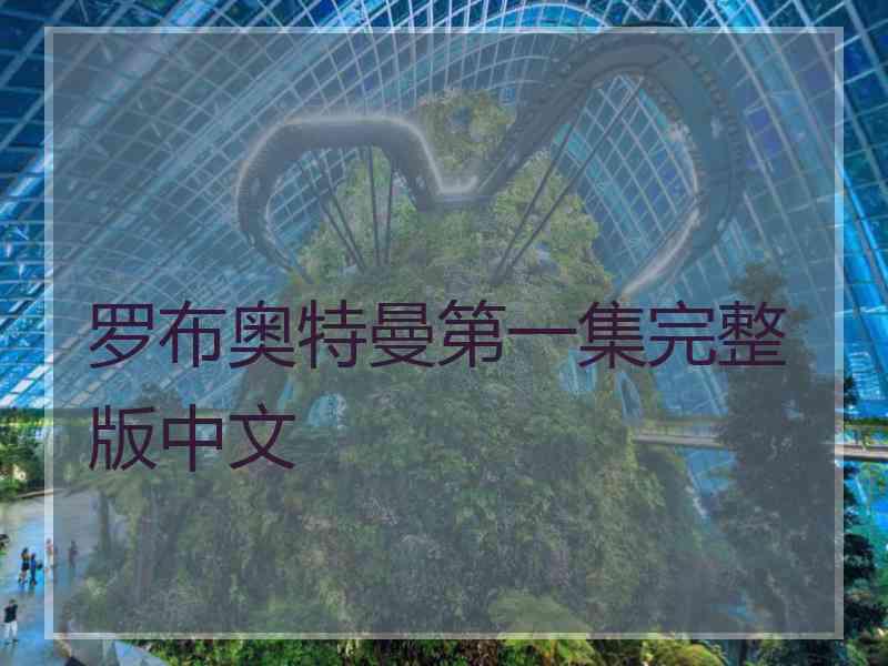 罗布奥特曼第一集完整版中文