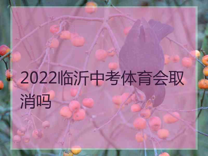 2022临沂中考体育会取消吗