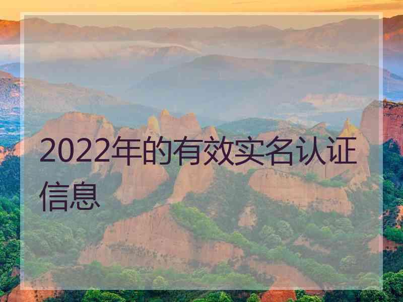 2022年的有效实名认证信息