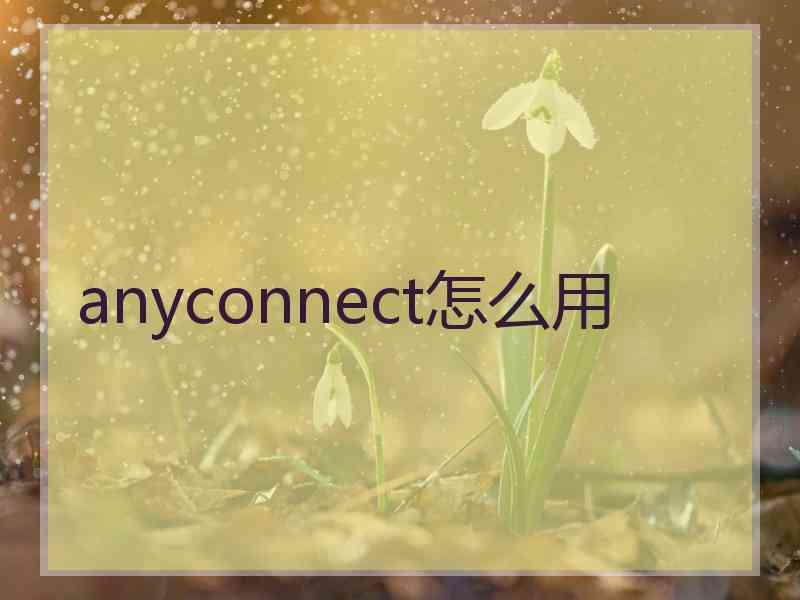 anyconnect怎么用