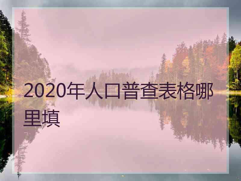 2020年人口普查表格哪里填