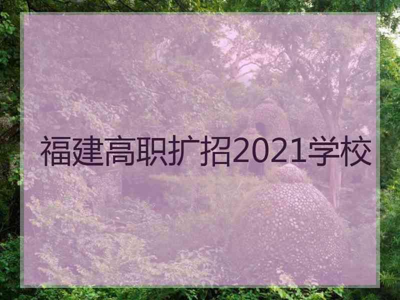 福建高职扩招2021学校