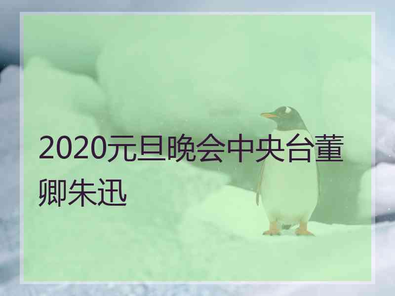 2020元旦晚会中央台董卿朱迅