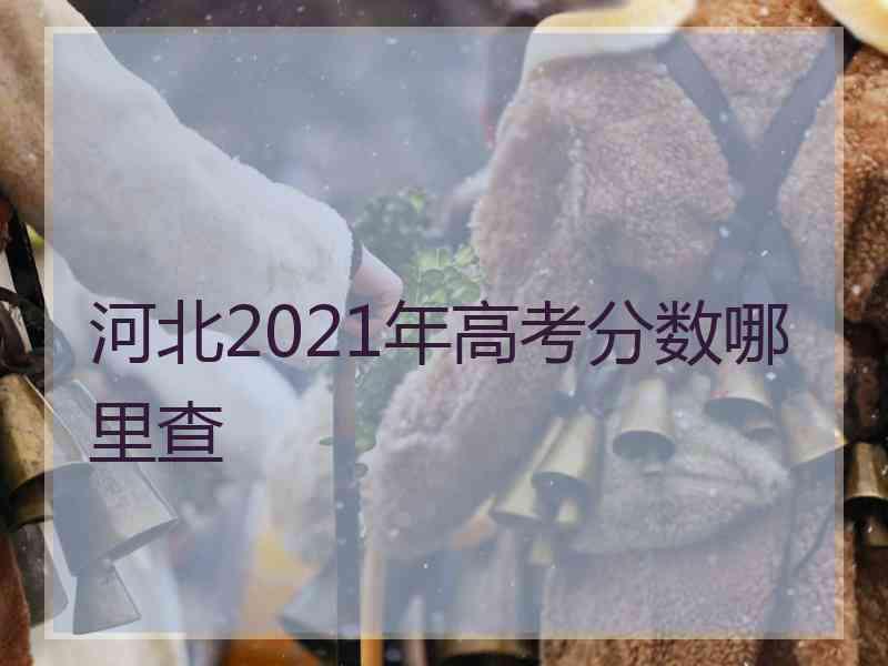 河北2021年高考分数哪里查