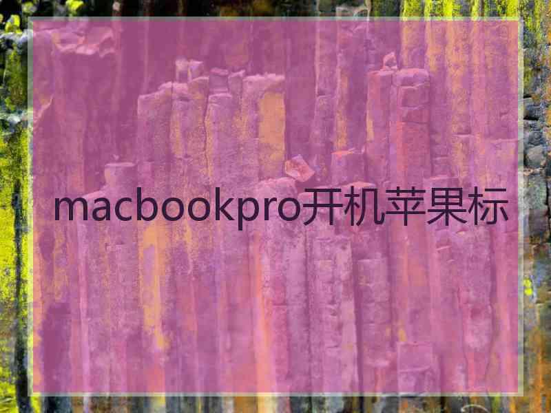 macbookpro开机苹果标