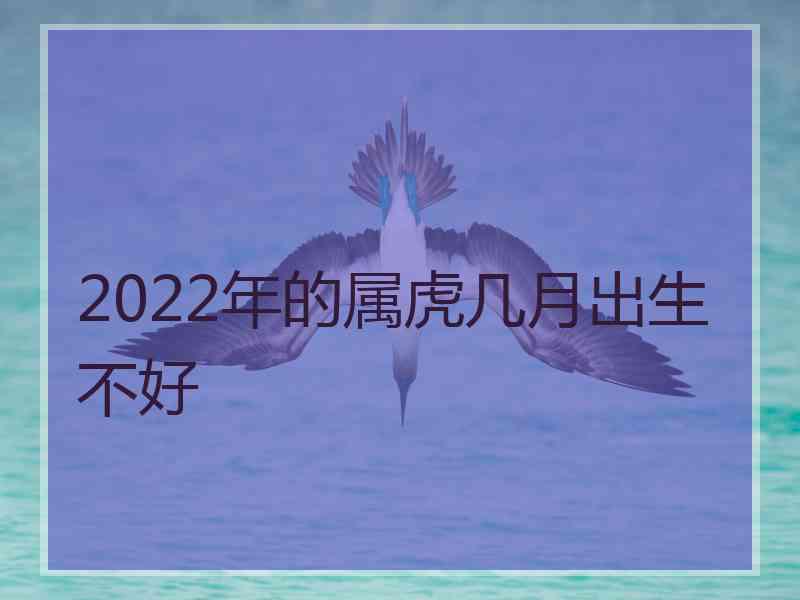 2022年的属虎几月出生不好