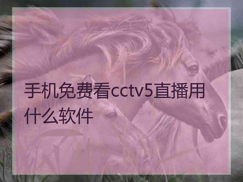 手机免费看cctv5直播用什么软件