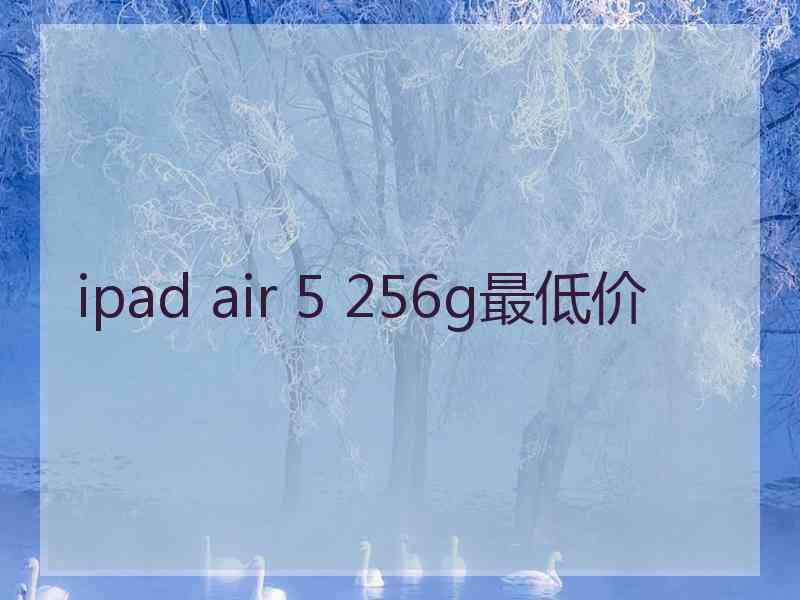 ipad air 5 256g最低价