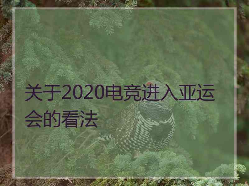 关于2020电竞进入亚运会的看法