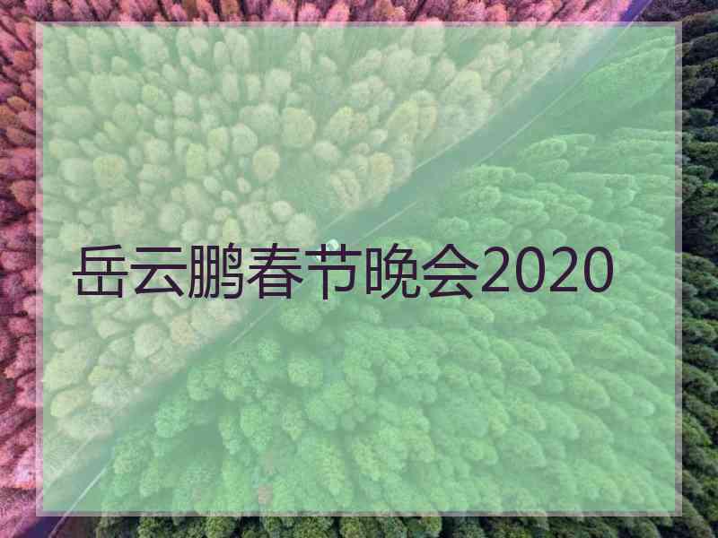 岳云鹏春节晚会2020