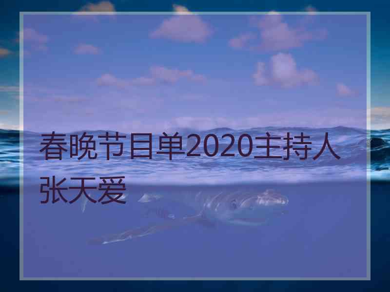 春晚节目单2020主持人张天爱