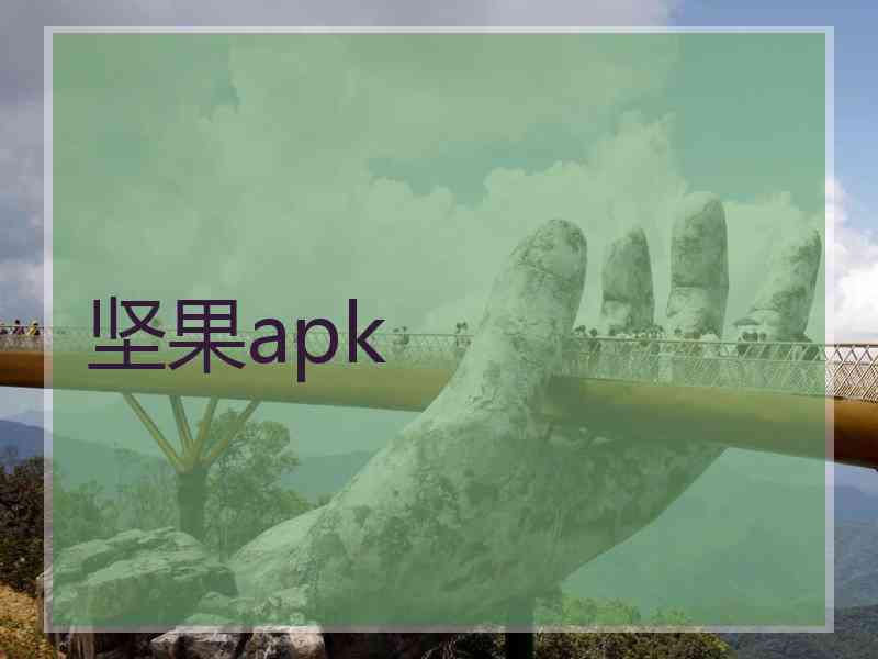 坚果apk