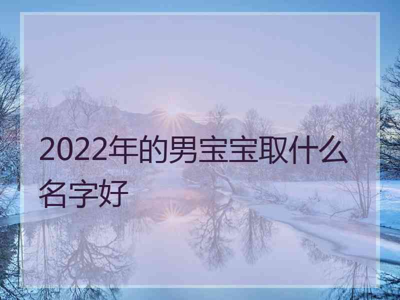 2022年的男宝宝取什么名字好