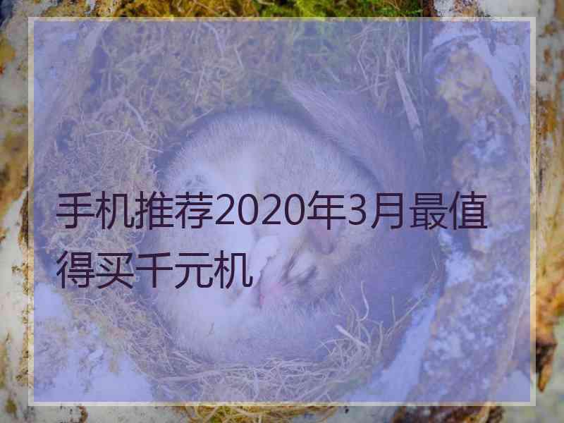 手机推荐2020年3月最值得买千元机