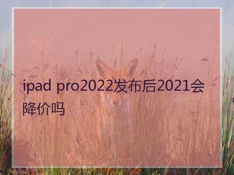 ipad pro2022发布后2021会降价吗