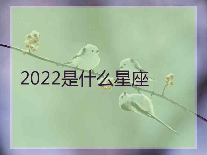 2022是什么星座