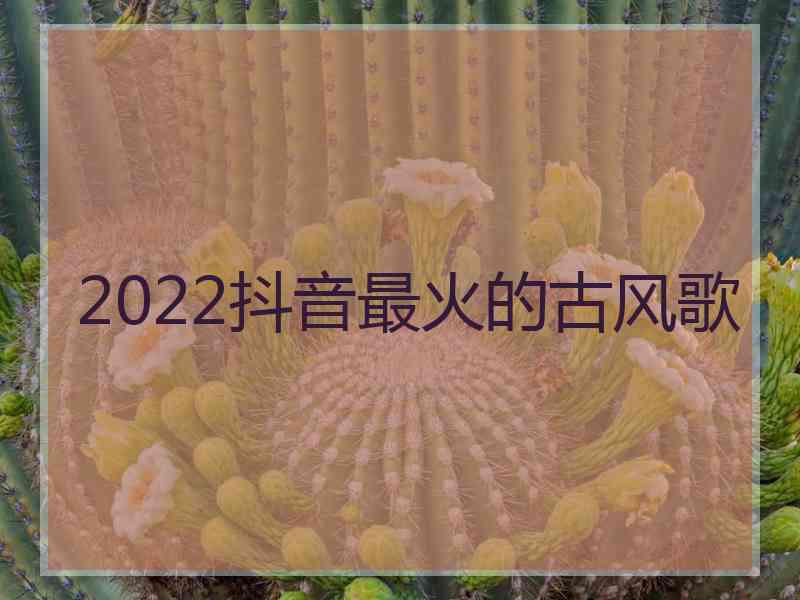 2022抖音最火的古风歌