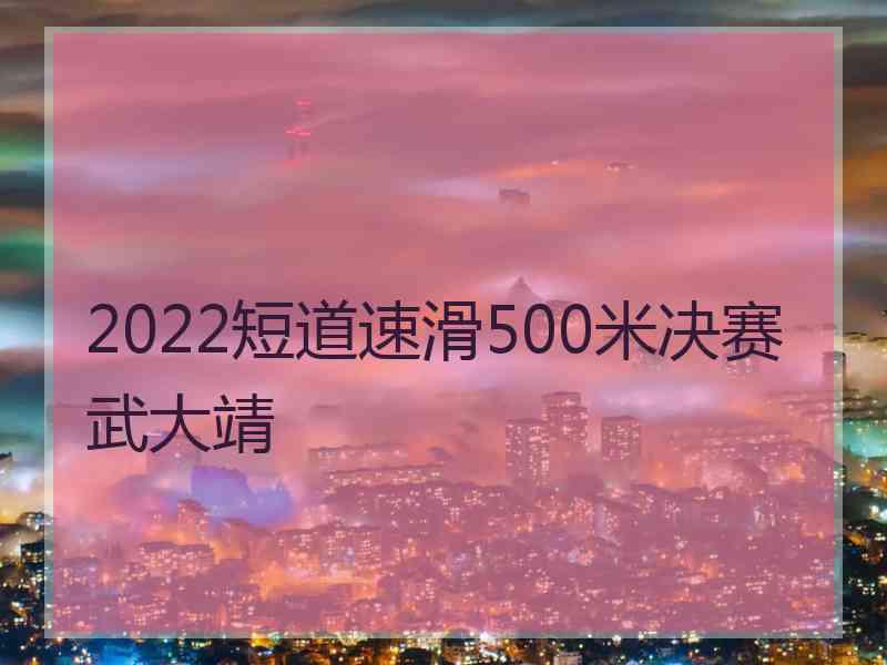 2022短道速滑500米决赛武大靖