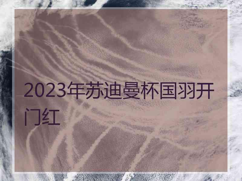 2023年苏迪曼杯国羽开门红