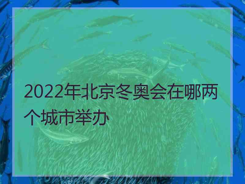 2022年北京冬奥会在哪两个城市举办