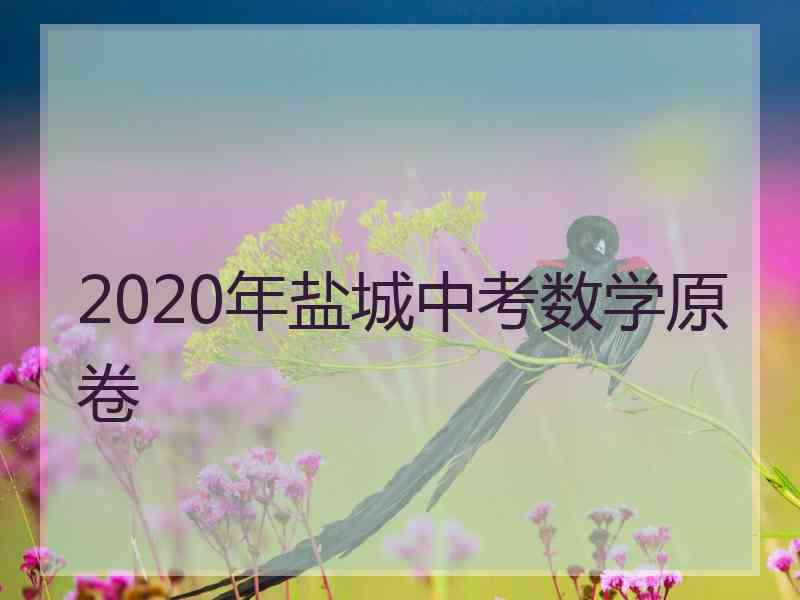 2020年盐城中考数学原卷