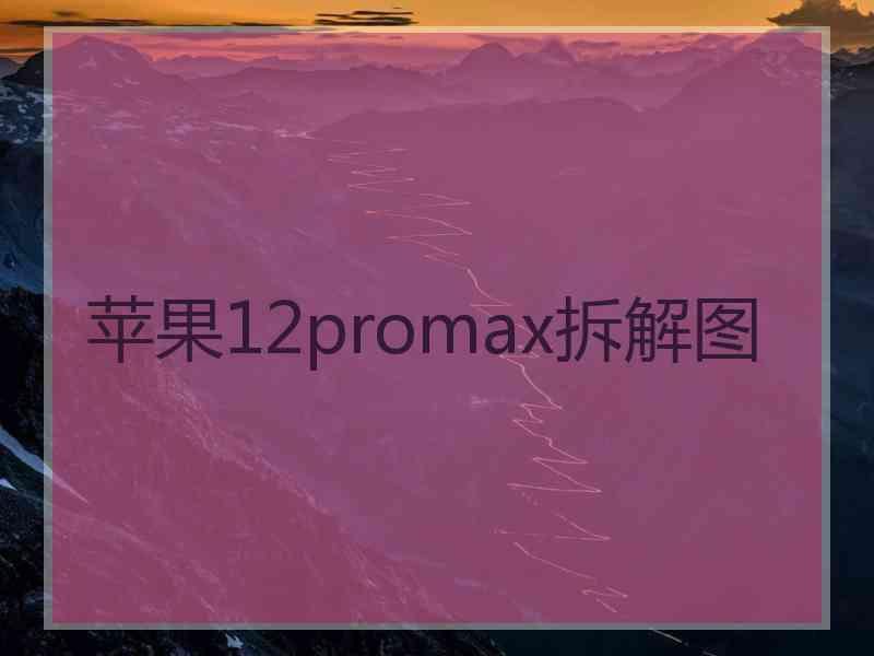 苹果12promax拆解图