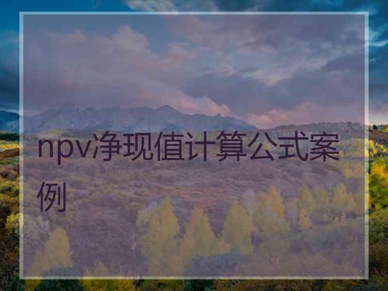 npv净现值计算公式案例