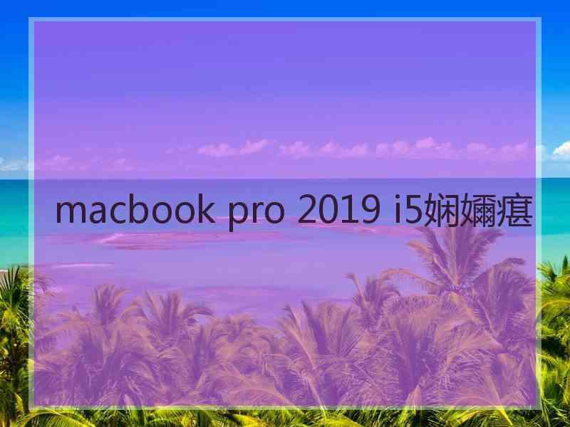 macbook pro 2019 i5娴嬭瘎