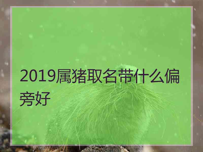 2019属猪取名带什么偏旁好