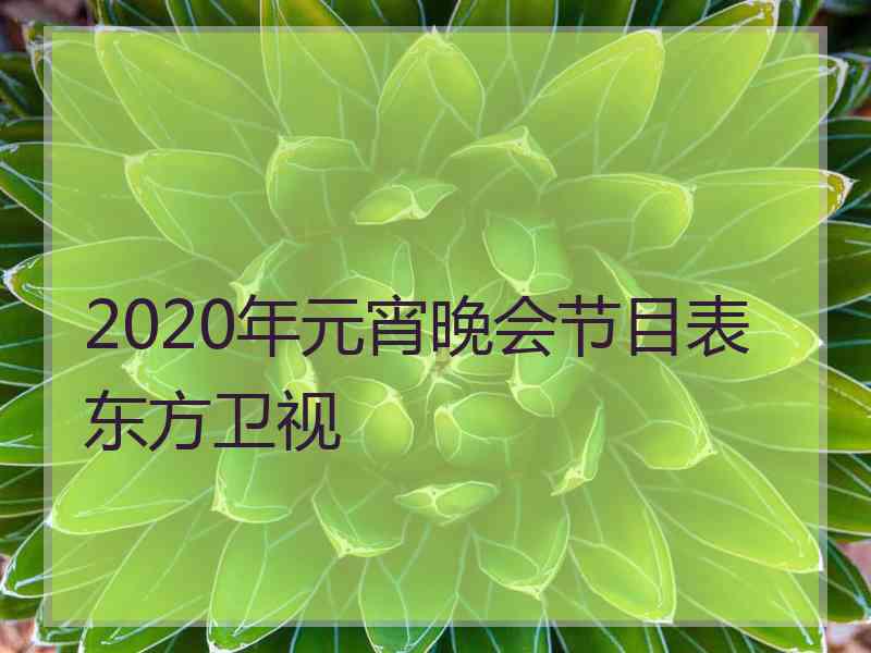 2020年元宵晚会节目表东方卫视