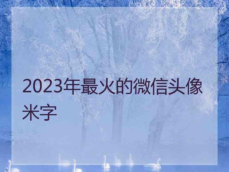 2023年最火的微信头像米字