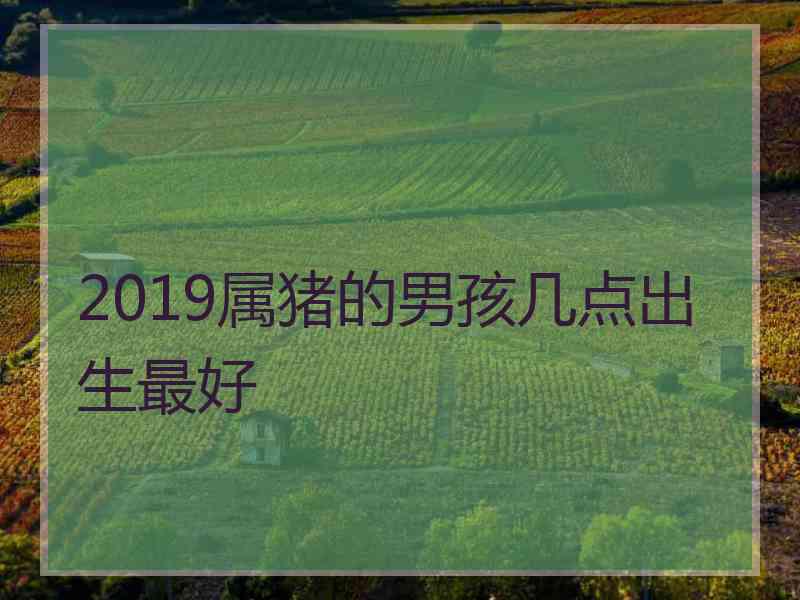 2019属猪的男孩几点出生最好