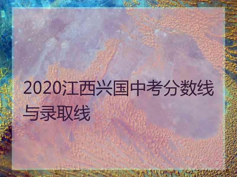 2020江西兴国中考分数线与录取线