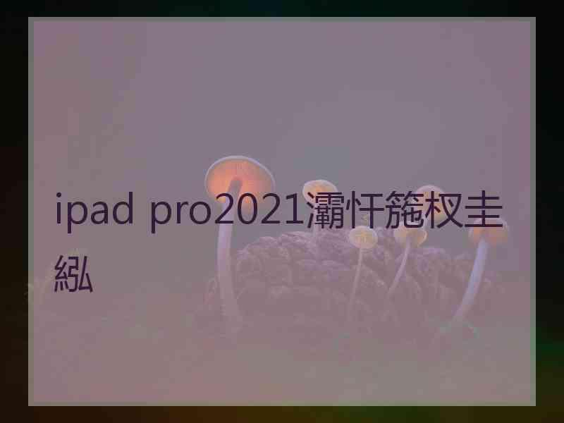 ipad pro2021灞忓箷杈圭紭