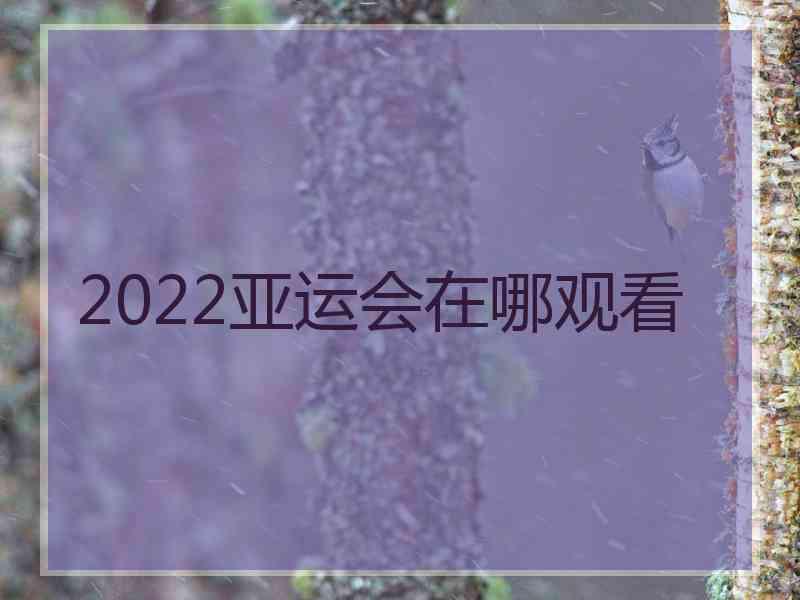 2022亚运会在哪观看