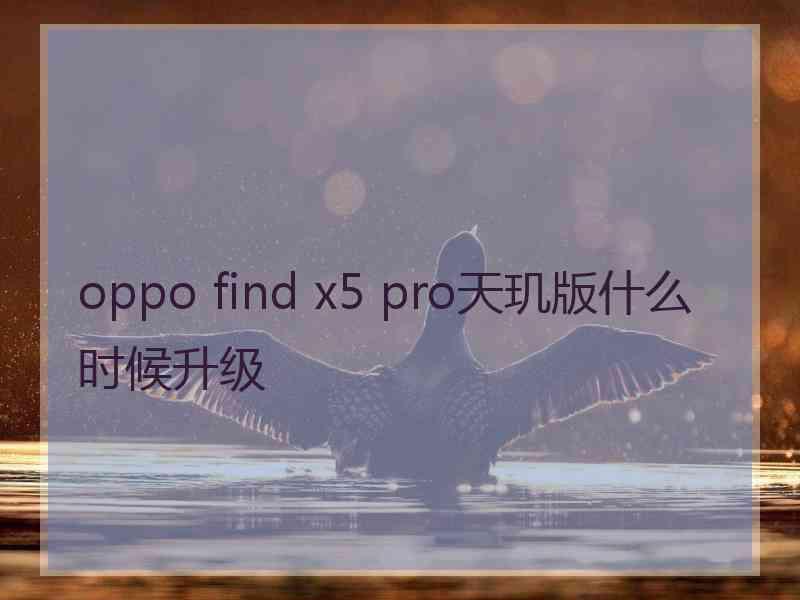 oppo find x5 pro天玑版什么时候升级