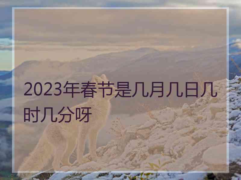 2023年春节是几月几日几时几分呀