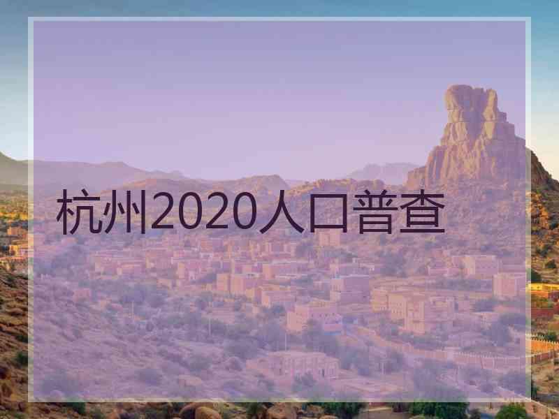 杭州2020人口普查