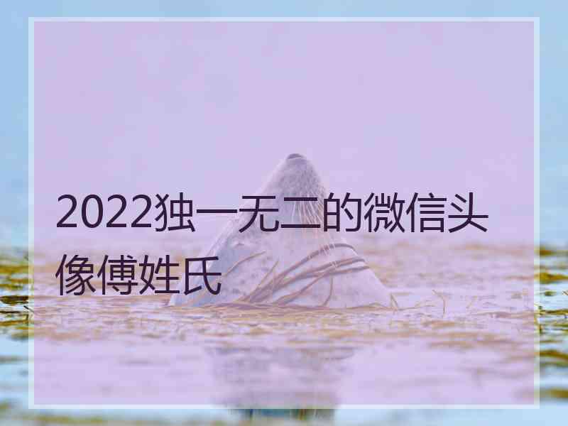 2022独一无二的微信头像傅姓氏