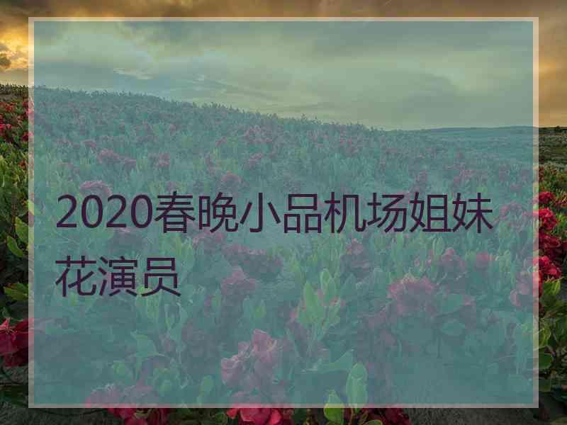 2020春晚小品机场姐妹花演员