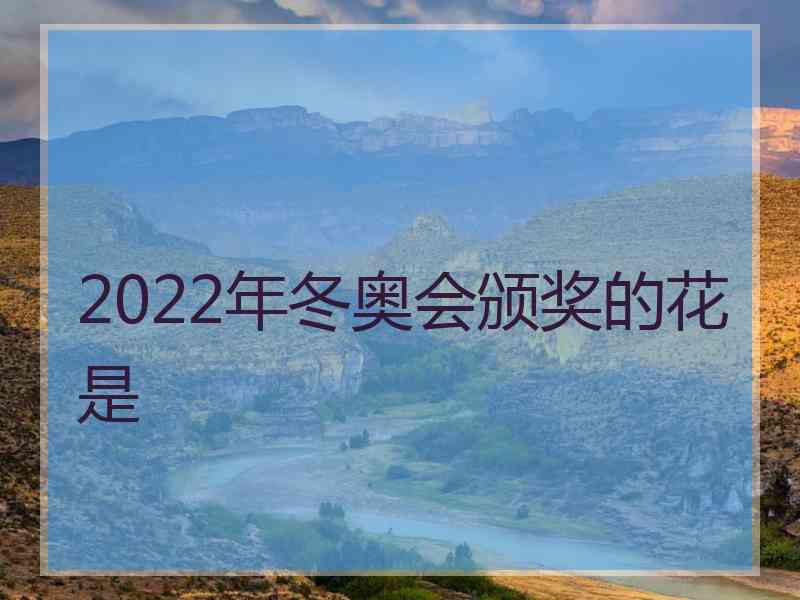 2022年冬奥会颁奖的花是