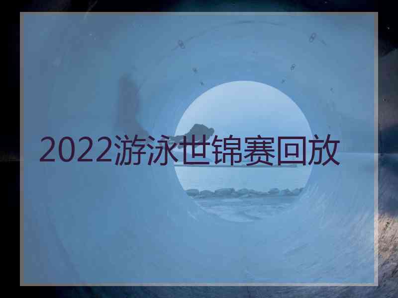 2022游泳世锦赛回放