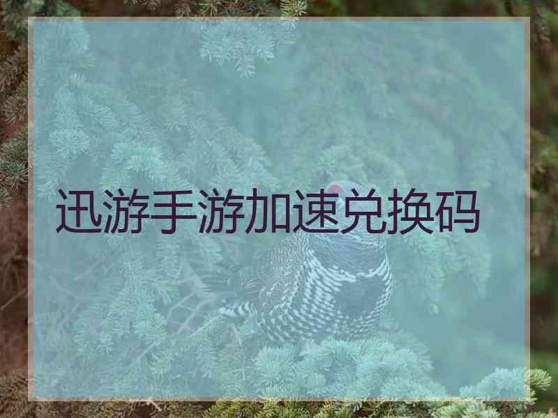 迅游手游加速兑换码