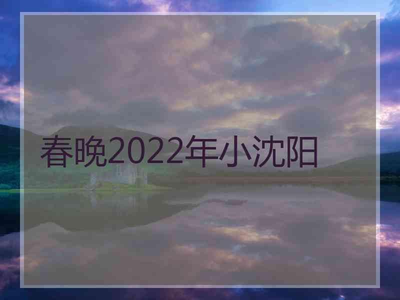 春晚2022年小沈阳