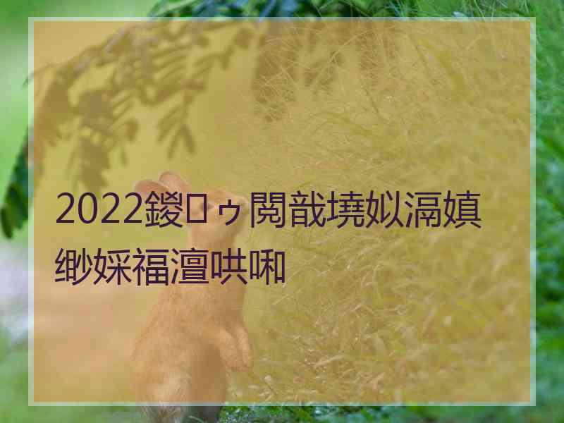 2022鍐ゥ閲戠墝姒滆嫃缈婇福澶哄啝